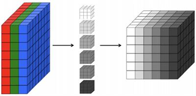 Visual Explanation for Identification of the Brain Bases for Developmental Dyslexia on fMRI Data